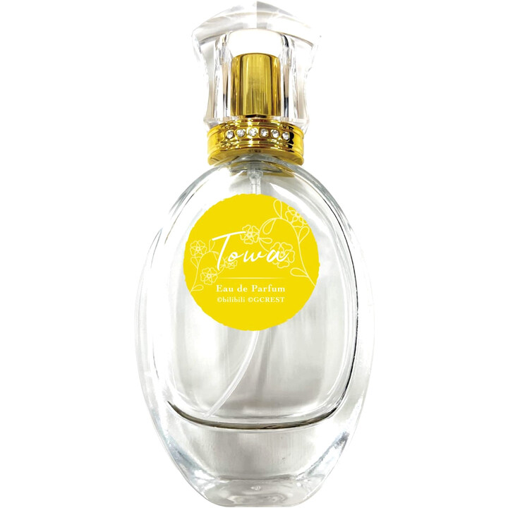 Dream Meister and the Recollected Black Fairy - Towa